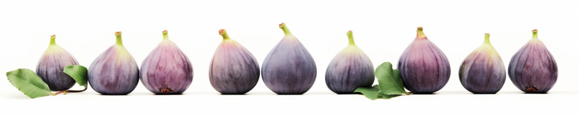Obraz premium A Minimal Watercolor Banner of a Row of Figs on a White Background