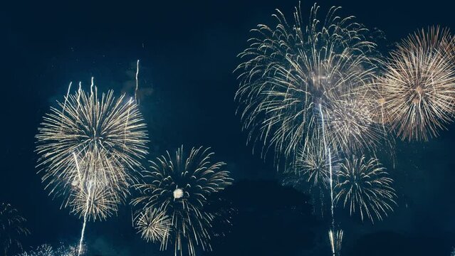 夏の夜に舞い上がるきれいな花火の星