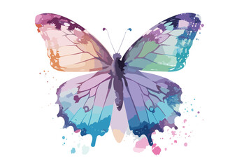 colorful butterfly vector