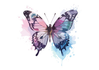 colorful butterfly vector