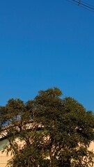 Urban Oasis: Tranquil Residential Landscape with City Skyline and Lush Greenery