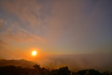 Fototapeta premium 青山高原の日の出