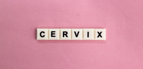 stethoscope with the word cervix. concept of women's disease and medicine. female cancer concept. 