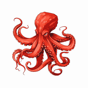 red octopus vector illustration for shirt