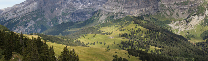 Forest Hills At The Foot Of A Mountain