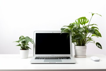 デスク上の観葉植物とノートパソコン
