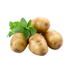 pile of potatoes with herb isolated on transparent background
