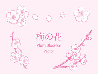 シンプルな梅の花のペン画セット　ピンク単色　ベクター 