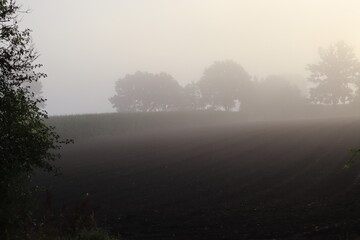 Feld mit Nebel