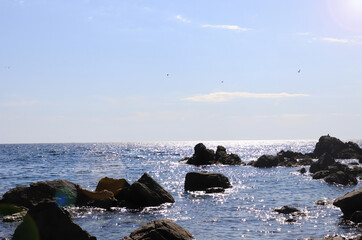 Beautiful rocky beach on a clear sunny day. Summer sea landscape.