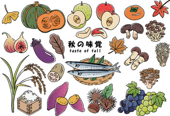 秋の味覚　手描き線画イラストセット