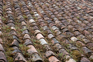 old tiles covered with moss house roof ancient background tile
