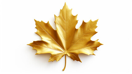 golden maple leaf isolated on white metal background