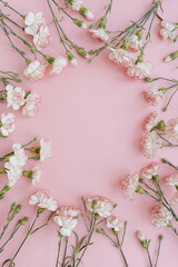 Flat lay minimal floral composition. Pink carnation flowers on pastel pink background. Summer, spring concept. Copy space, top view