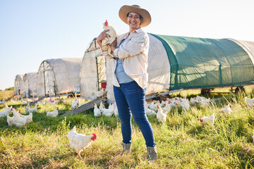 Farm, chicken and portrait of woman in field, countryside and nature for small business, growth and...