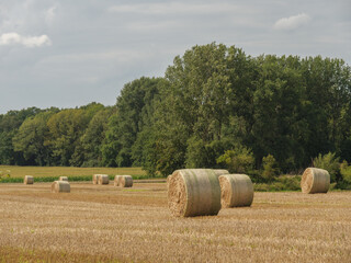 Spätsommer im Münsterland