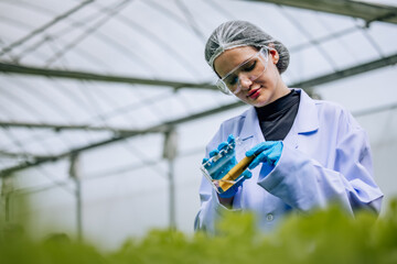 Hydroponic scientist uses pH meter for quality control, ensuring optimal conditions in cultivation