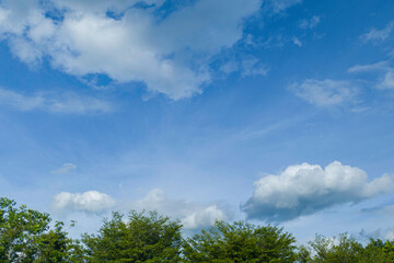 clouds over the forest