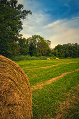 Strohballen - Heuballen - Heu - Stroh - bales of hay - field - harvest - summer - straw - farmland...