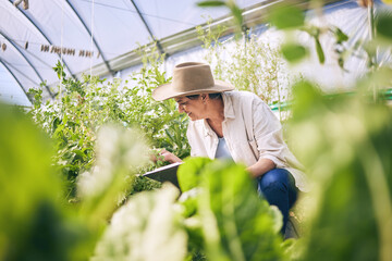 Plants, greenhouse and woman on farm with sustainable business checklist, nature and happiness in garden. Agriculture, gardening and female farmer with smile, green leaves and agro vegetable farming.