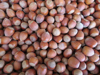 hazelnuts nut round tasty natural hard food shell