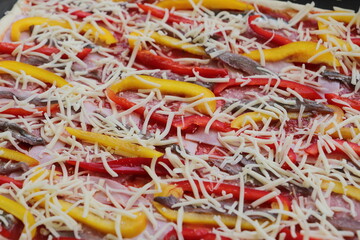 Pizza with peppers, anchovies and cheese