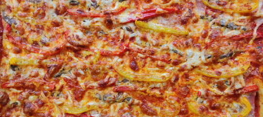 Pizza with peppers, anchovies and cheese