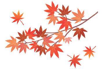 鮮やかな秋の紅葉のシンプルイラスト