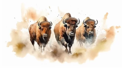 Poster watercolor drawing of a group of bulls running on a white background. © kichigin19
