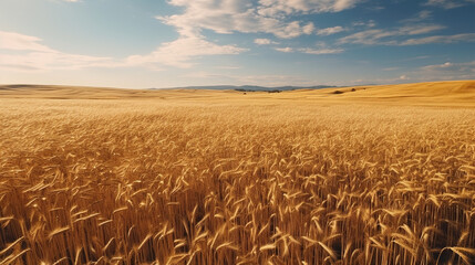 Golden Wheat Field on a Sunny Day. Generative Ai