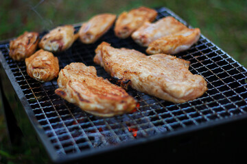 Pork and chicken drumsticks grilled on a camping stove.