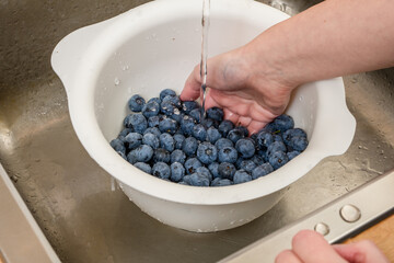 Dojrzałe owoce borówki amerykańskiej w trakcie mycia w misce pod bieżącą wodą w kuchni  - obrazy, fototapety, plakaty