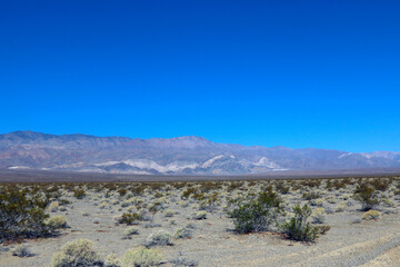 Rocky terrain in the desert in America.