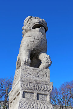 St. Petersburg, Russia, March 12, 2022. Sculpture of Chinese Lion (Chi Tza) on Neva river pier in St. Petersburg. Stone street statue of mythological guardian-animal located on Petrovskaya embankment.