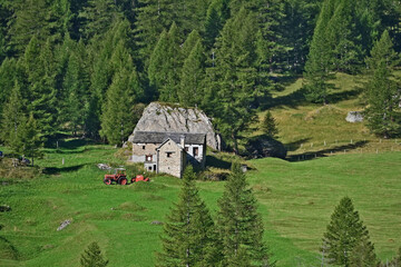 Baite e malghe sula salita verso Il Parco Naturale Alpe Veglia e Alpe Devero, Valle d'Ossola -...