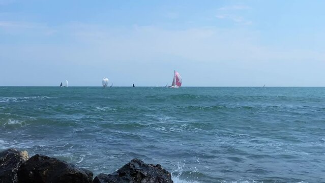 Sailing boats race