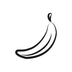 Fruit icon vector design, illustration of food with black and white color.