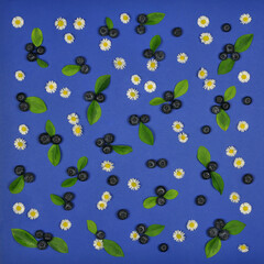 Set of blueberries with green leaves and small white daisies on dark blue background. Top view ,flat lay. 