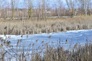 View of the lake in winter when its water surface is covered with ice.