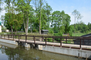 bridge in the park