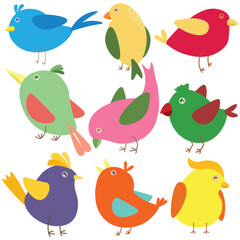 Variety cute bird collection in colourful color. Vector illustration on white background for nursery or kids decoration