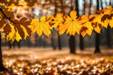 Naklejka na ściany i meble autumn leaves on the tree