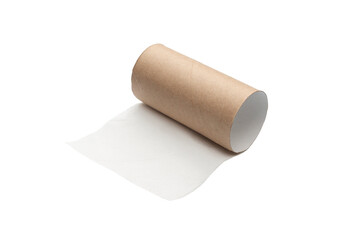 Empty toilet paper roll. The last sheet of toilet paper. Isolated on transparent background....