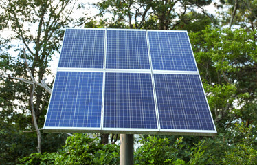 solar panels harnessing sunlight epitomize clean energy's promise, symbolizing sustainability and...