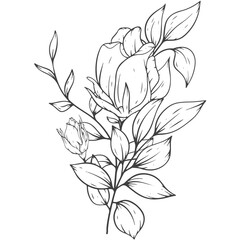 outline flower bouqet arrangement decoration