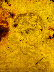 rusty yellow metal background for design