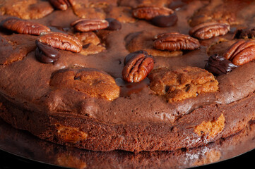 cake with chocolate and pecan nuts