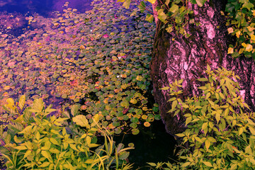 Natural abstract painting with river vegetation on a summer day.Illustration.