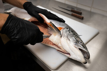 filleting a fish, salmon