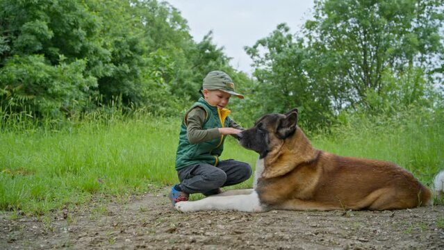 On a cloudy spring day, a boy is stroking his beloved dog, an American Akita breed. People's love for pets.Take a walk and play in the park in nature.